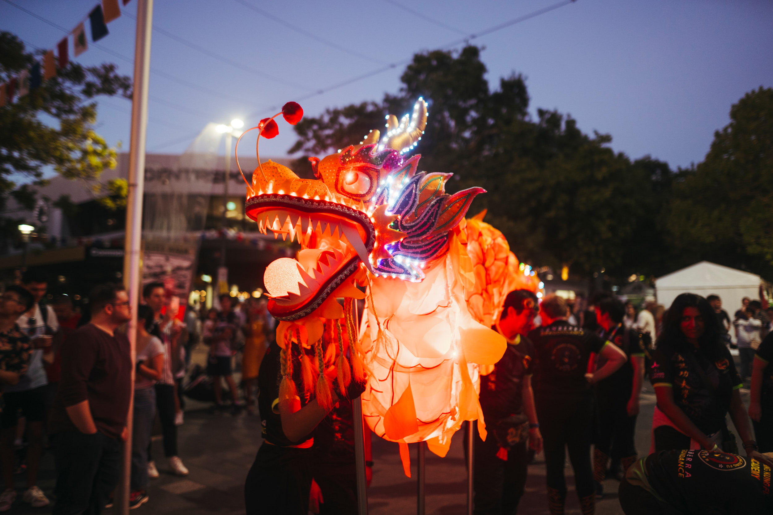 Lowres-240216-MulticulturalFestival-PewPew-311683