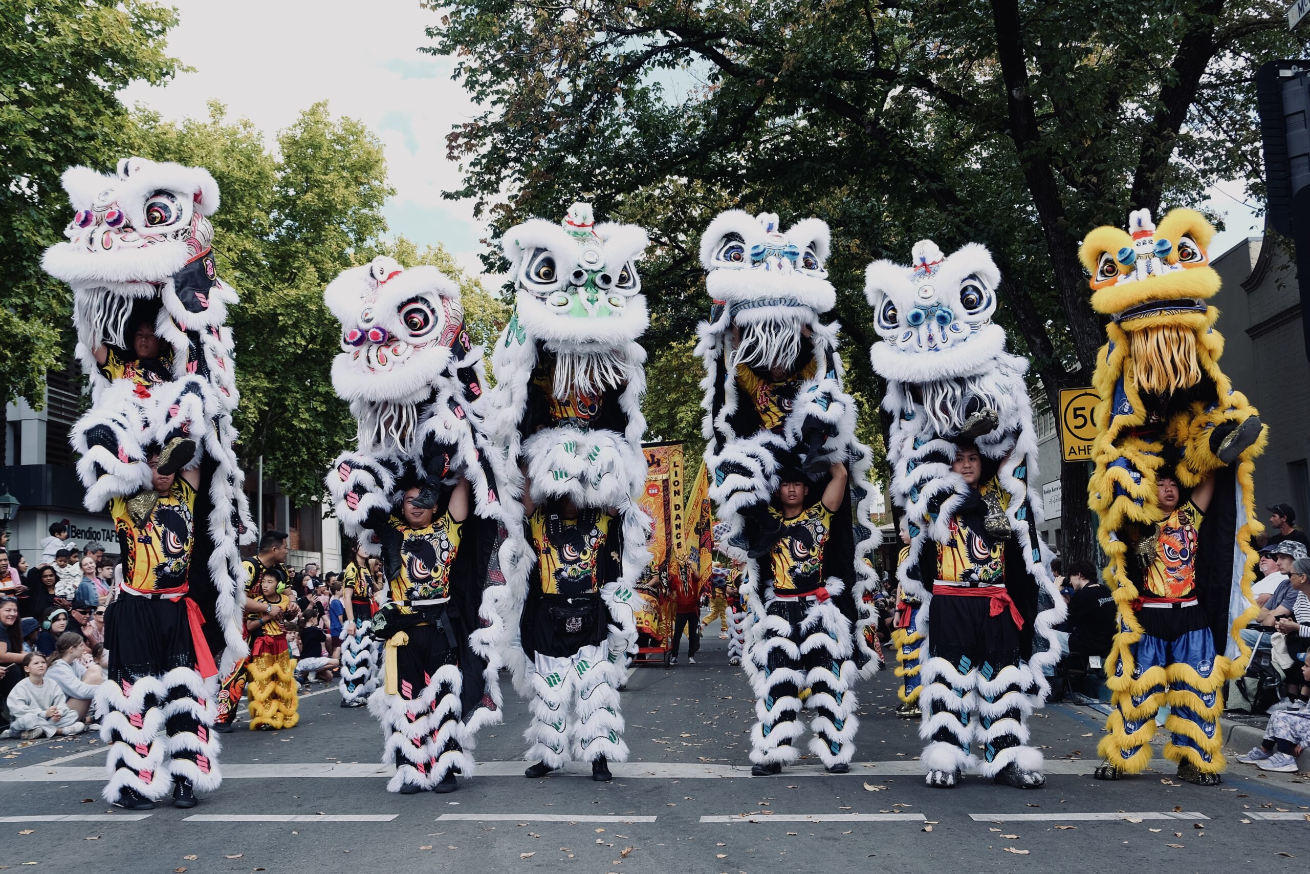 Prosperous Mountain Lion Dance